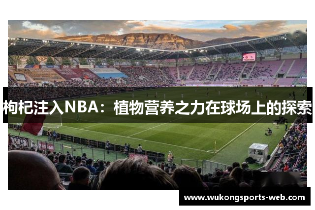 枸杞注入NBA：植物营养之力在球场上的探索