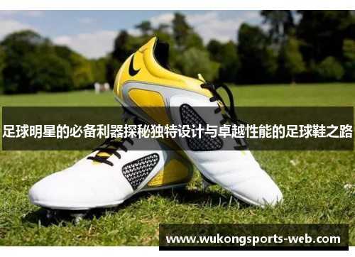 足球明星的必备利器探秘独特设计与卓越性能的足球鞋之路